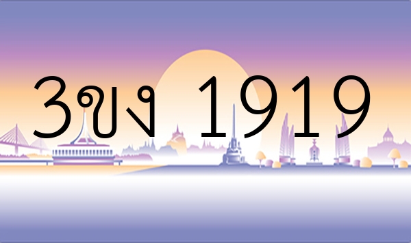 3ขง 1919